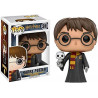 Harry Potter - Harry with Hedwige - POP n° 31