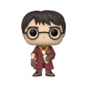 Harry Potter - Harry and the poussos potion 20th Anniversary - POP n° 149